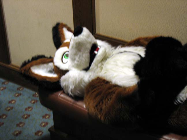 MFF2005 016.jpg